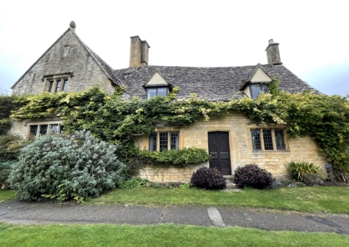 But whatever its colour, the foliage here is magnificent.