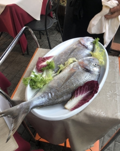 As you can imagine, it was amazing. 