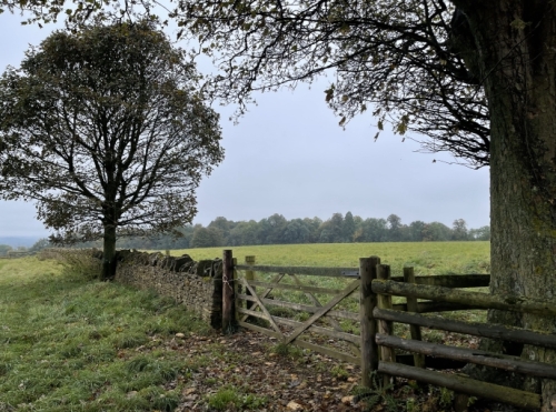 We'd been expecting to see the Cotswolds' rolling green hills, but we weren't quite prepared for just how lovely this landscape was.