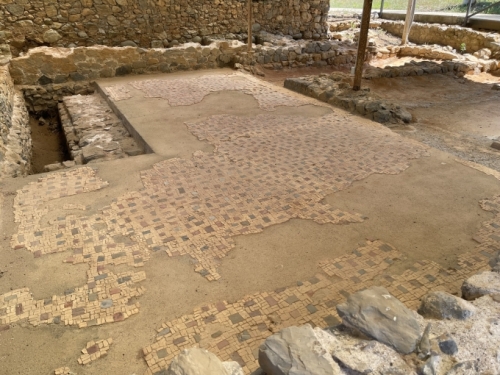 The residential and office areas of the villa boasted decorative mosaic flooring.