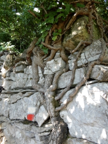 It starts in Fezzano and leads south to Portovenere