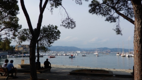 In the end the Fezzano seniors came in third - still a pretty good result