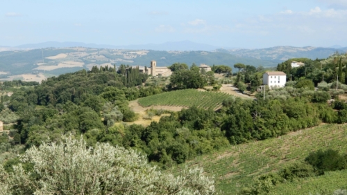 With wonderful views over the vines and olive groves to the valleys below