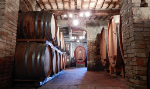Oak casks ageing the precious wine