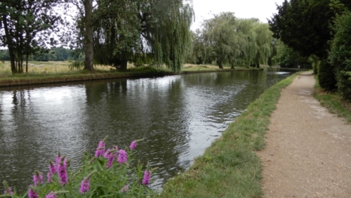 Morning walk along the River Wey to a village a few kilometres away (and lunch in yet another excellent country pub)