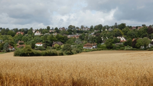 And soon opens up to views like this