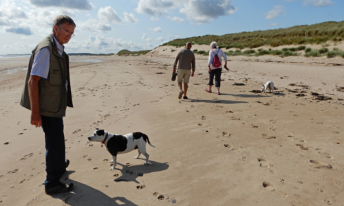 Gracie suggesting that it might, in fact, be John's turn to fetch the ball