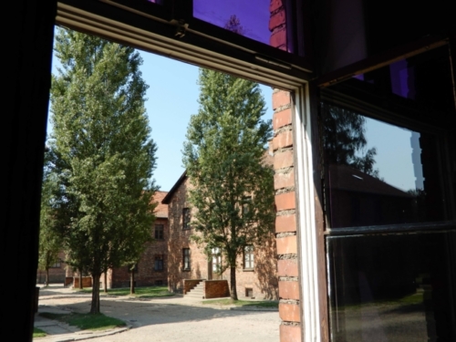 From that group of 1200 survivors alone, there are now more than 7000 descendants and, of course, that number will continue to grow. 'Whoever saves one life saves the world entire.'