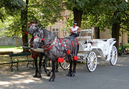 Carriage rides are common in European cities, but we haven't seen many horses decked out as well as those in Krakow