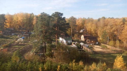 The landscape through the last part of Russia included more spectacular autumn birch forests