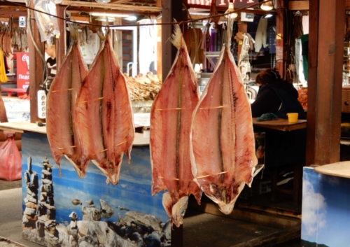 There are around 40 species of fish in the lake - almost all of them are unique 