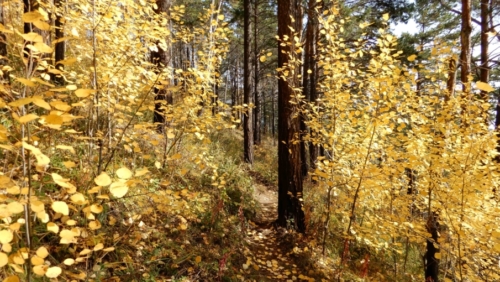 Quite by accident we ended up here in autumn - and the landscape was spectacular