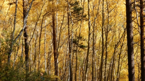 One day we hiked up through the hills beside the lake - it was amazing