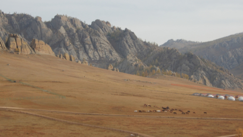 But the herders carry on regardless, grazing their stock on the last of the summer grass 