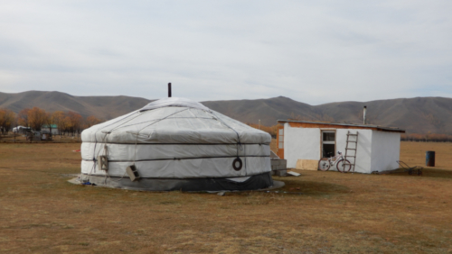 Herders live in these traditional tents known as 'gers'