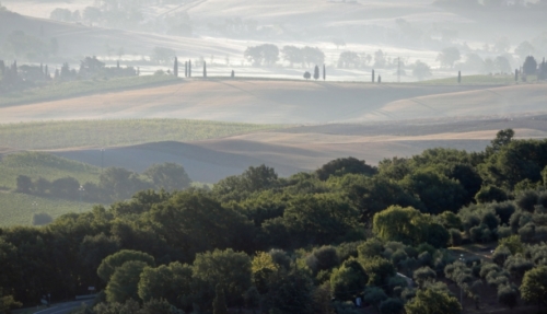 And then, all too soon, our relaxing and very enjoyable week in Tuscany was over; but we were delighted to have lingered in lovely Montalcino