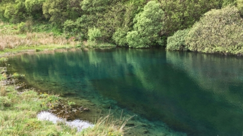 And a much less famous fairy pool; we'd stopped one day to admire a view and a local woman walking her dog told us about a hidden pool - 'it's a healing pool,' she said, 'with water of every shade of green you can imagine'