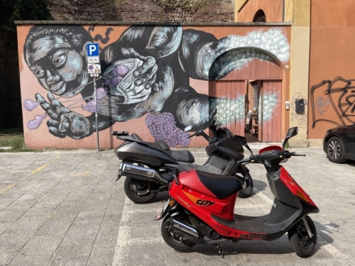 This tricky little imp is bombarding its neighbours across the way ...