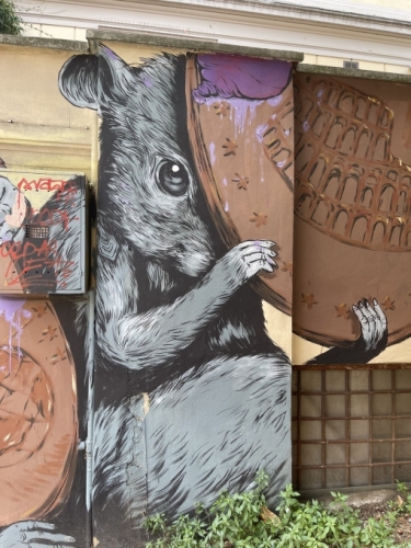 Via del Pratello - great art, good food and a fun vibe. Put it on your Bologna bucket list.