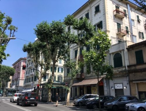 There are some really good museums in La Spezia