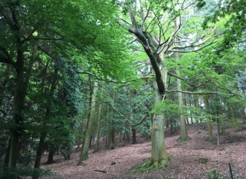 The trail starts just a couple of hundred metres from the town centre