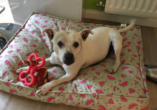 Rosie, just checking she's not missing out on anything