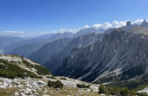 So that’s winter and autumn sorted… now, how about spring?