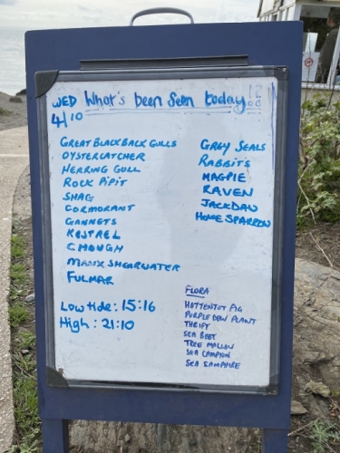 (The seals were great, though we do wish we'd seen a Hottentot Pig plant as well).