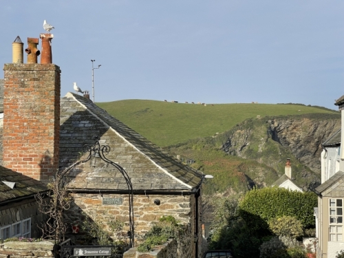 That owner is one of the town's few residents. Dave is another. Today there are just 25 people living in Port Isaac - all the others have moved away or chosen to live in the 'new' part of town up on the hill behind.