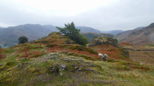 Lake District walking