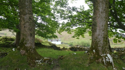 We'd really been looking forward to seeing Kerrera