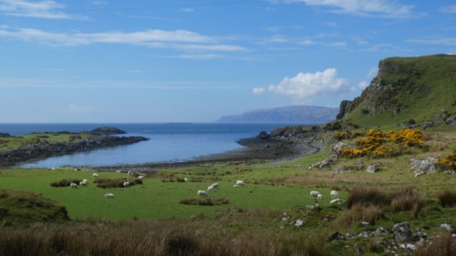 And were rewarded with scenery like this