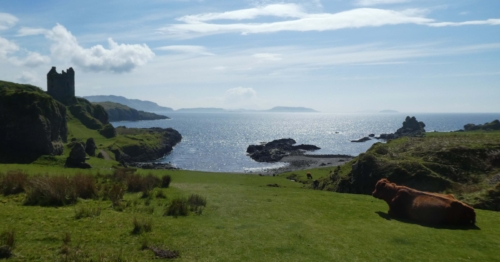 She absolutely loved it and knew we would too