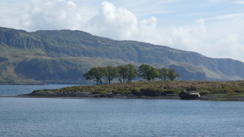 Our daughter, Gracie, worked at the Tea Garden for a couple of months during her big trip a few years ago