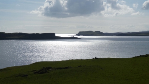 And lived to walk another day