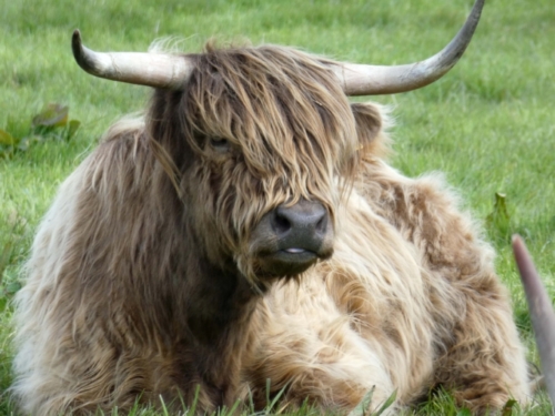 And a fringe that makes you want to reach for the scissors!