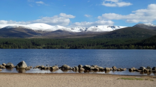 Layer upon layer of beauty