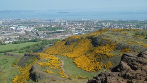 With an elevation gain of 250m, this is a proper hill walk (goodness knows how Rebus did it with all the smoking and drinking he did in the day)