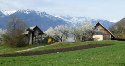 There was music in Slovenia, too