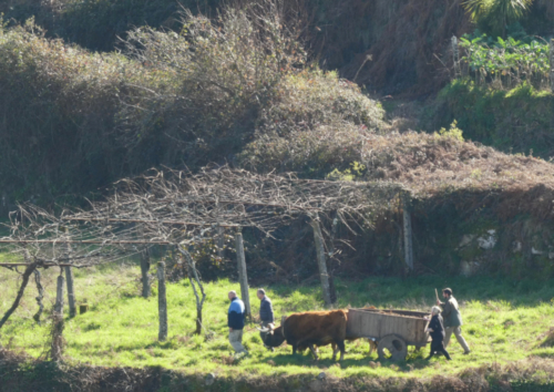 It's a place where traditions die hard