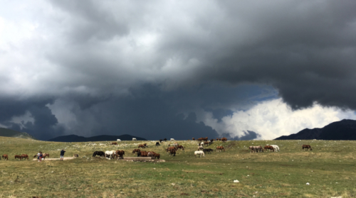 The alpine meadow sits above the Gran Sasso massif in the Apennine Mountains - it's breathtaking 