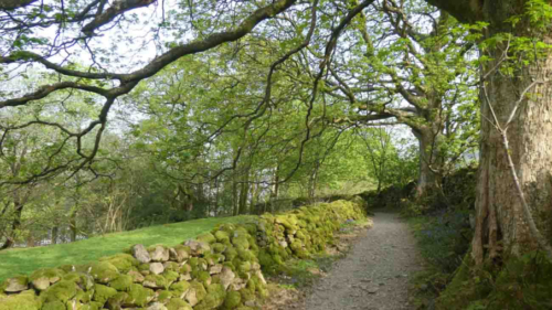 Walking in the Lake District in England was a real highlight