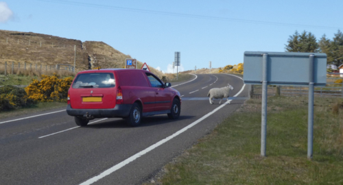 But nothing mattered to this girl - she was out on the town and loving it!