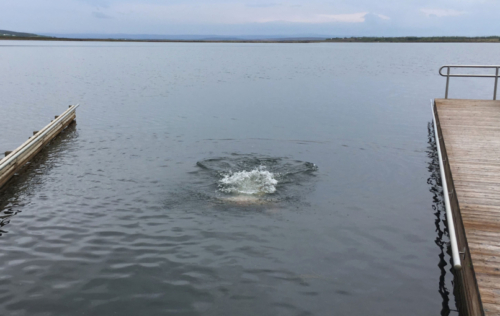 Greg did that; I didn't 