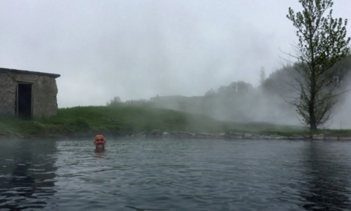 Thermal springs wallowing