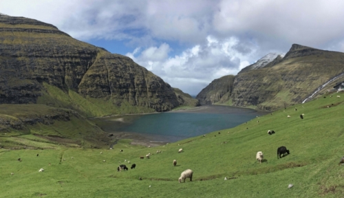 The Faroe Islands is another country inhabited by more sheep than people