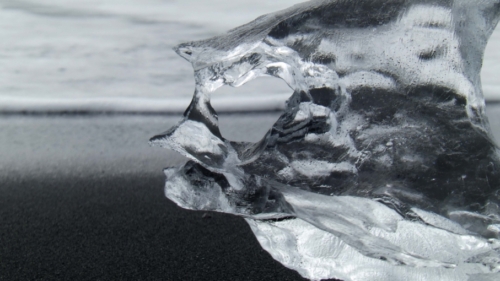 This one looked like some kind of prehistoric fish