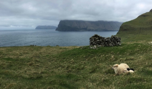Fantastic scenery and Faroese sheep are par for the course
